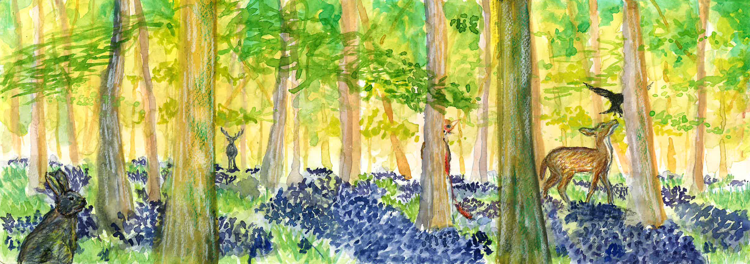 Carnets d&rsquo;Aquarelles 2024